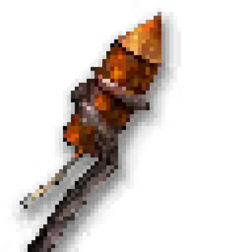 Bottle Rockets