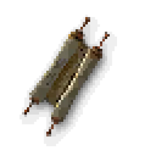 Scroll of Resurrection
