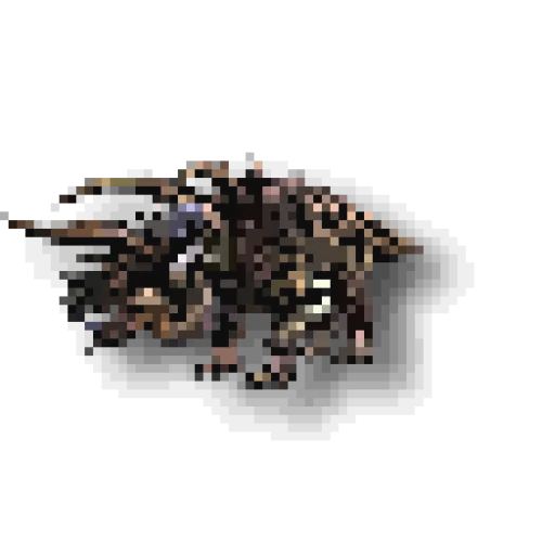 Miniature Ceratadon