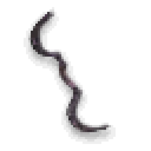 Tormented Shortbow
